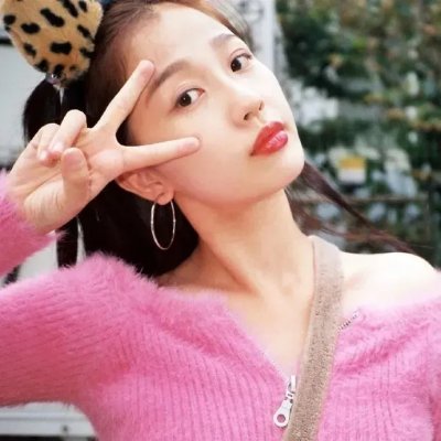刺猬与城市
