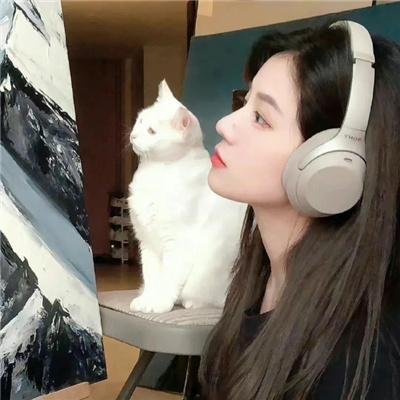 冷血追击